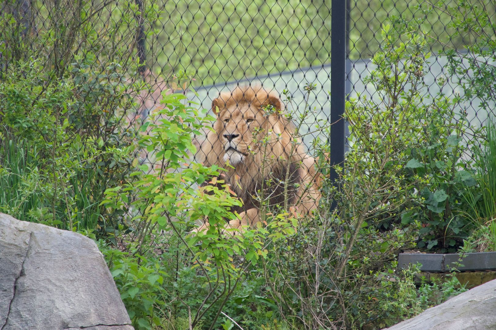 Geschutswerf 33, Amsterdam foto-66