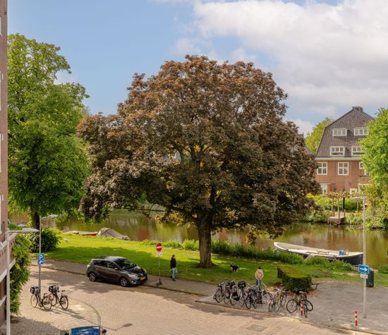 Banstraat 60 2, Amsterdam