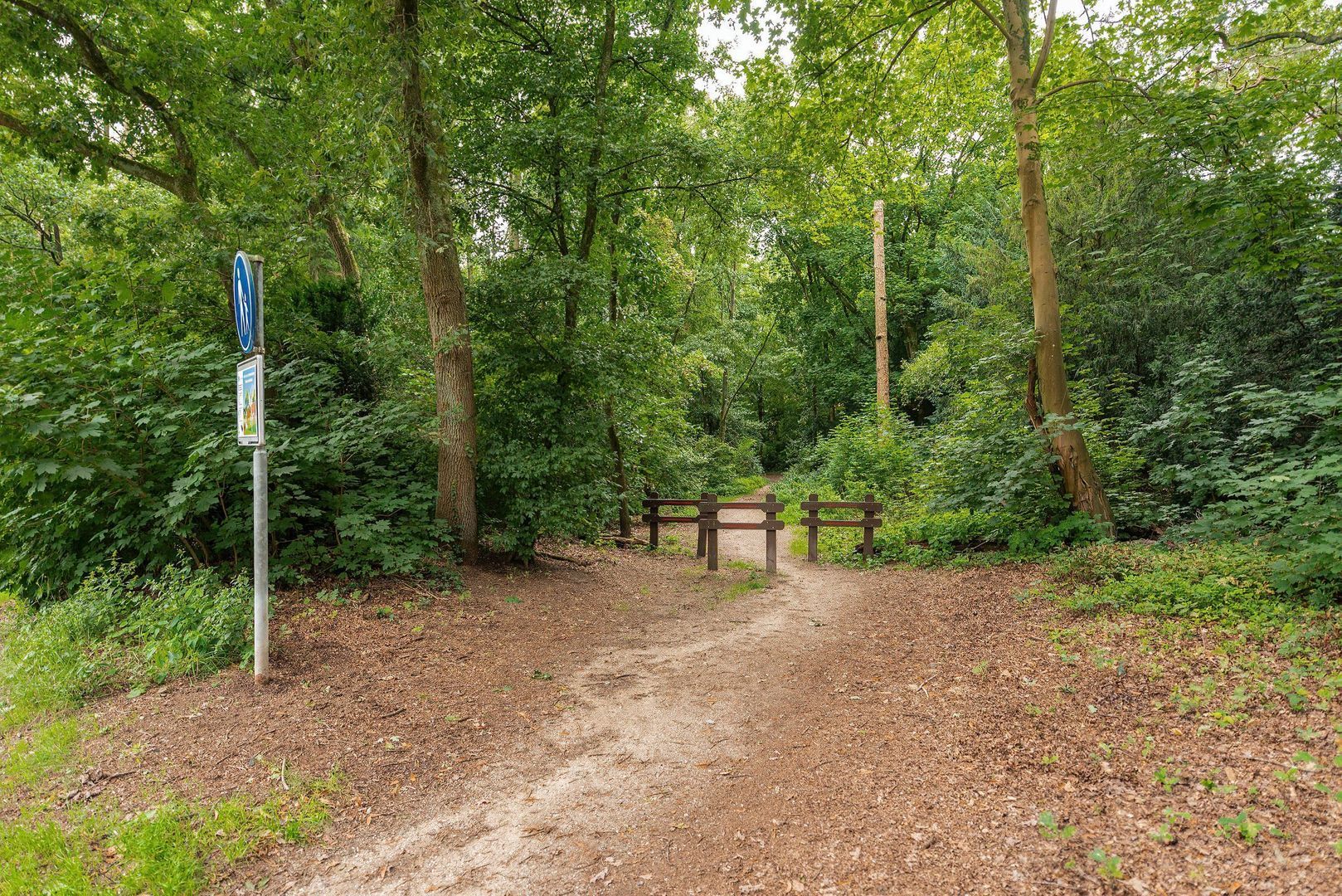 Nachtegaallaan 14, Baarn foto-30