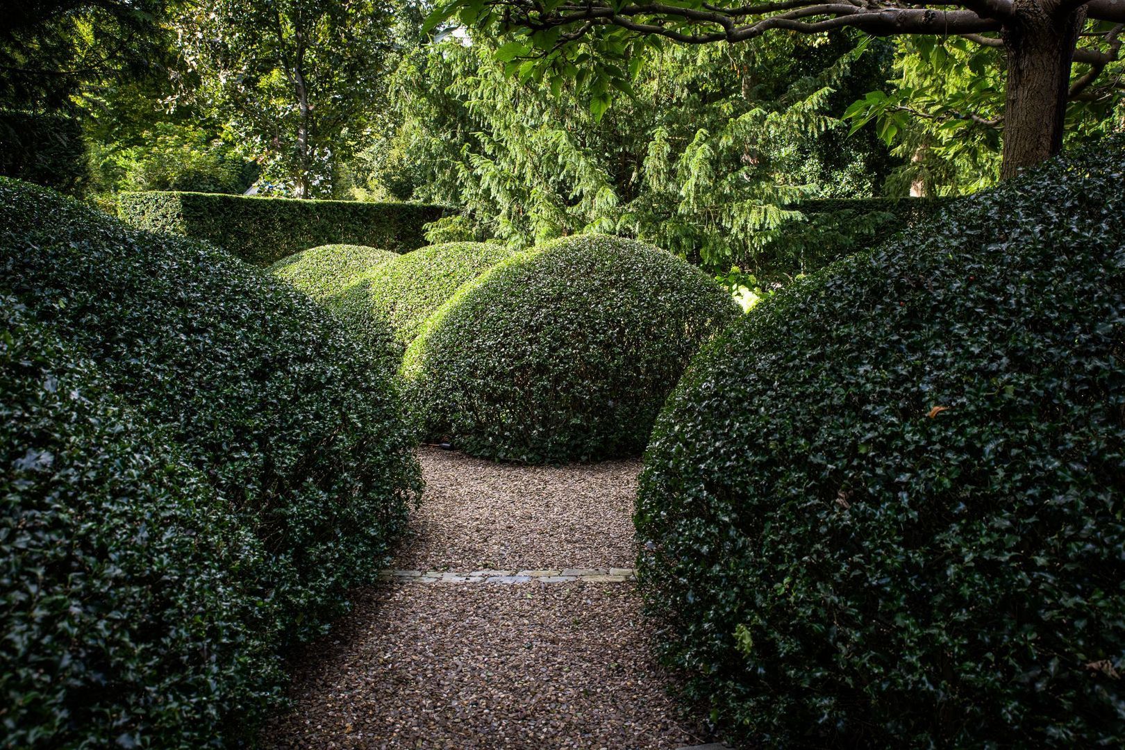 Prinses Irenelaan 1, Baarn foto-57