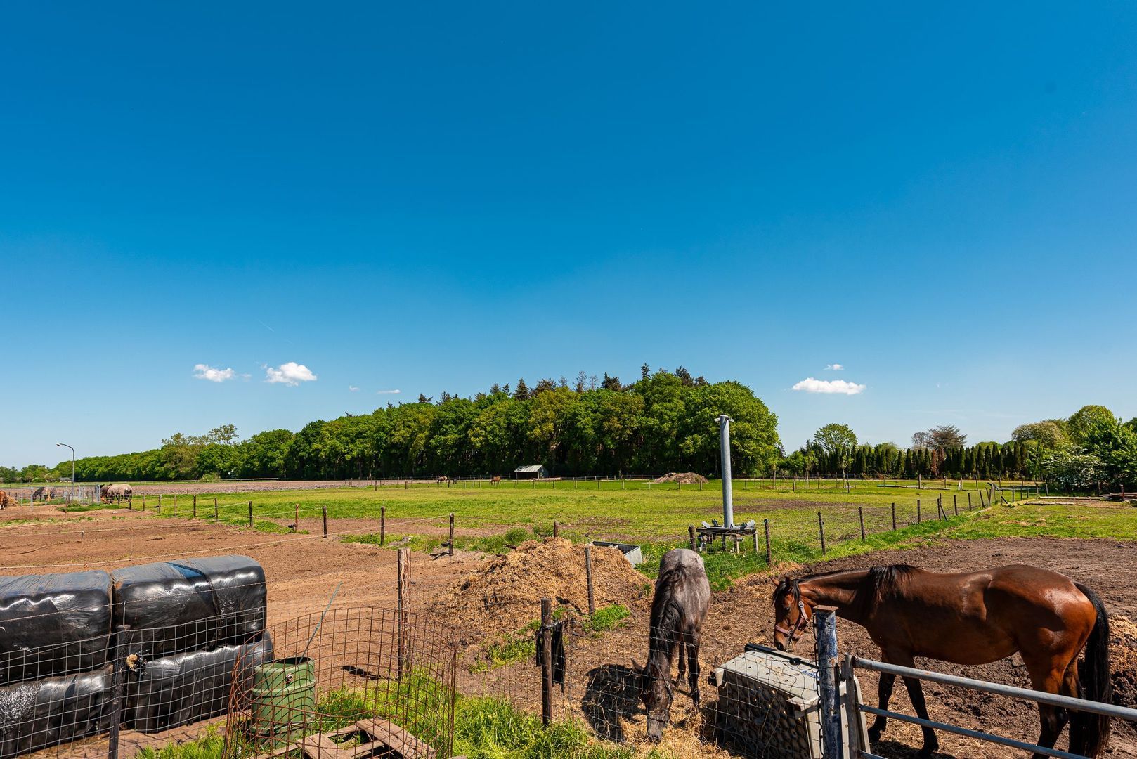 Prinsenweg 8, Nijkerk foto-37