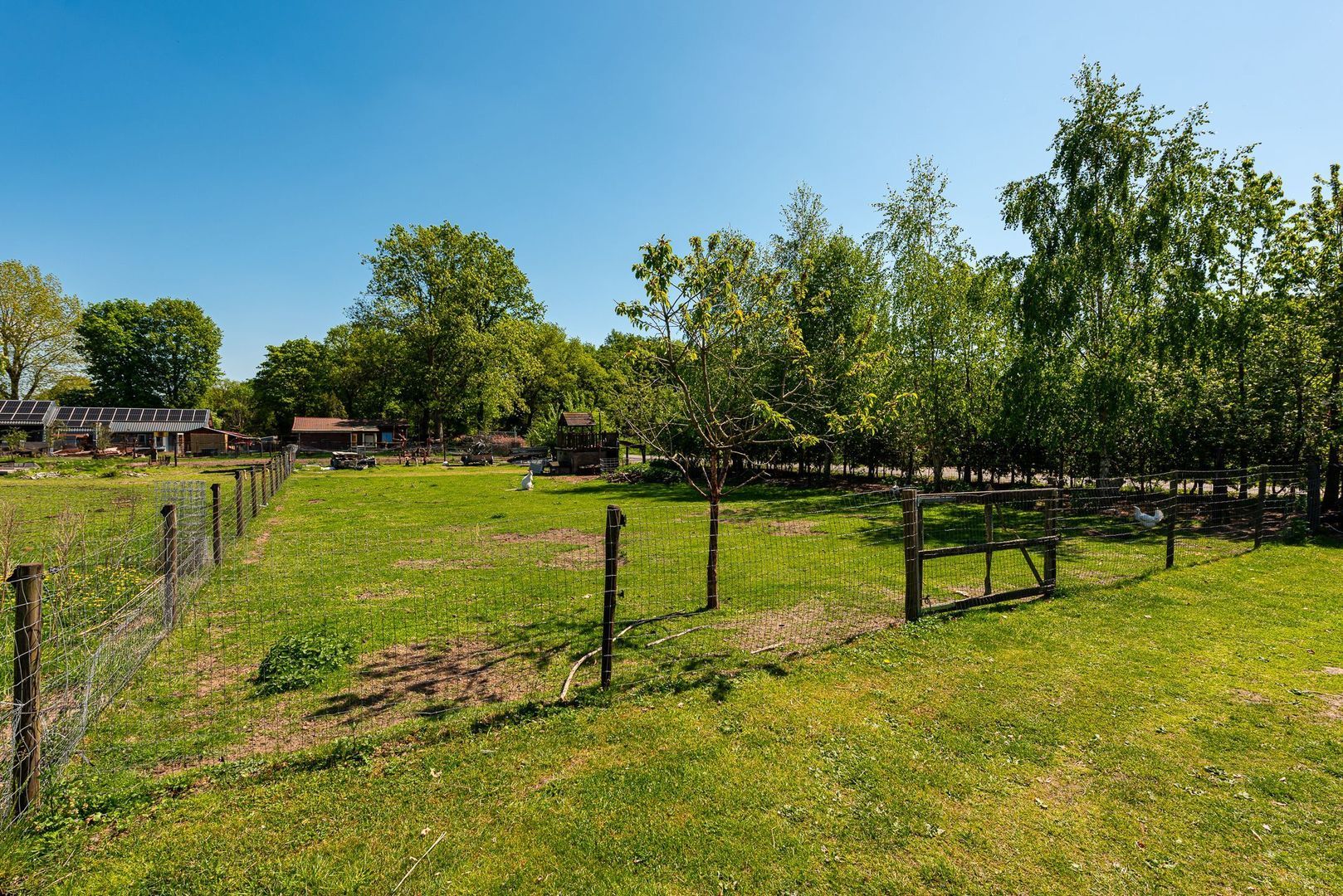 Prinsenweg 8, Nijkerk foto-39