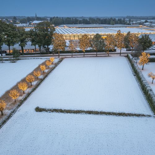 Holleneind 0 ong, Haaren foto-1