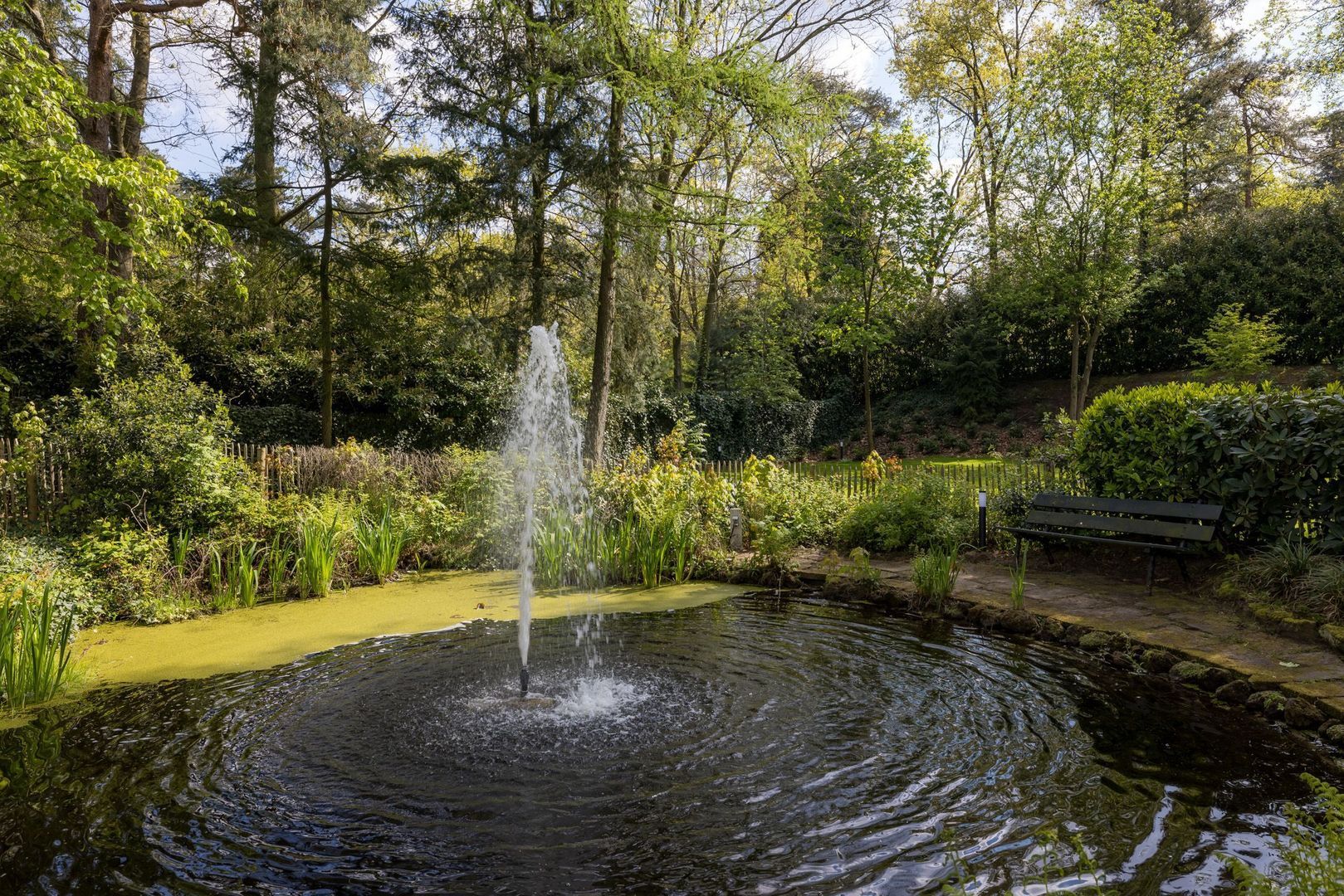 Prins Constantijnlaan 13, Waalre foto-43