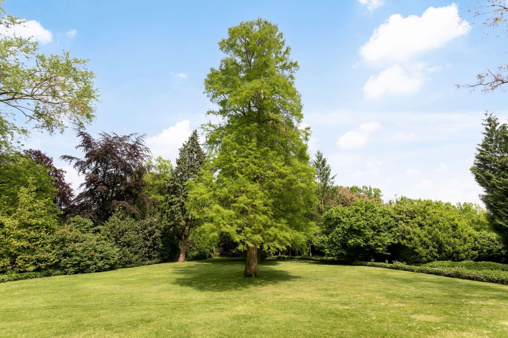 President Rooseveltlaan 2, Helmond foto-10