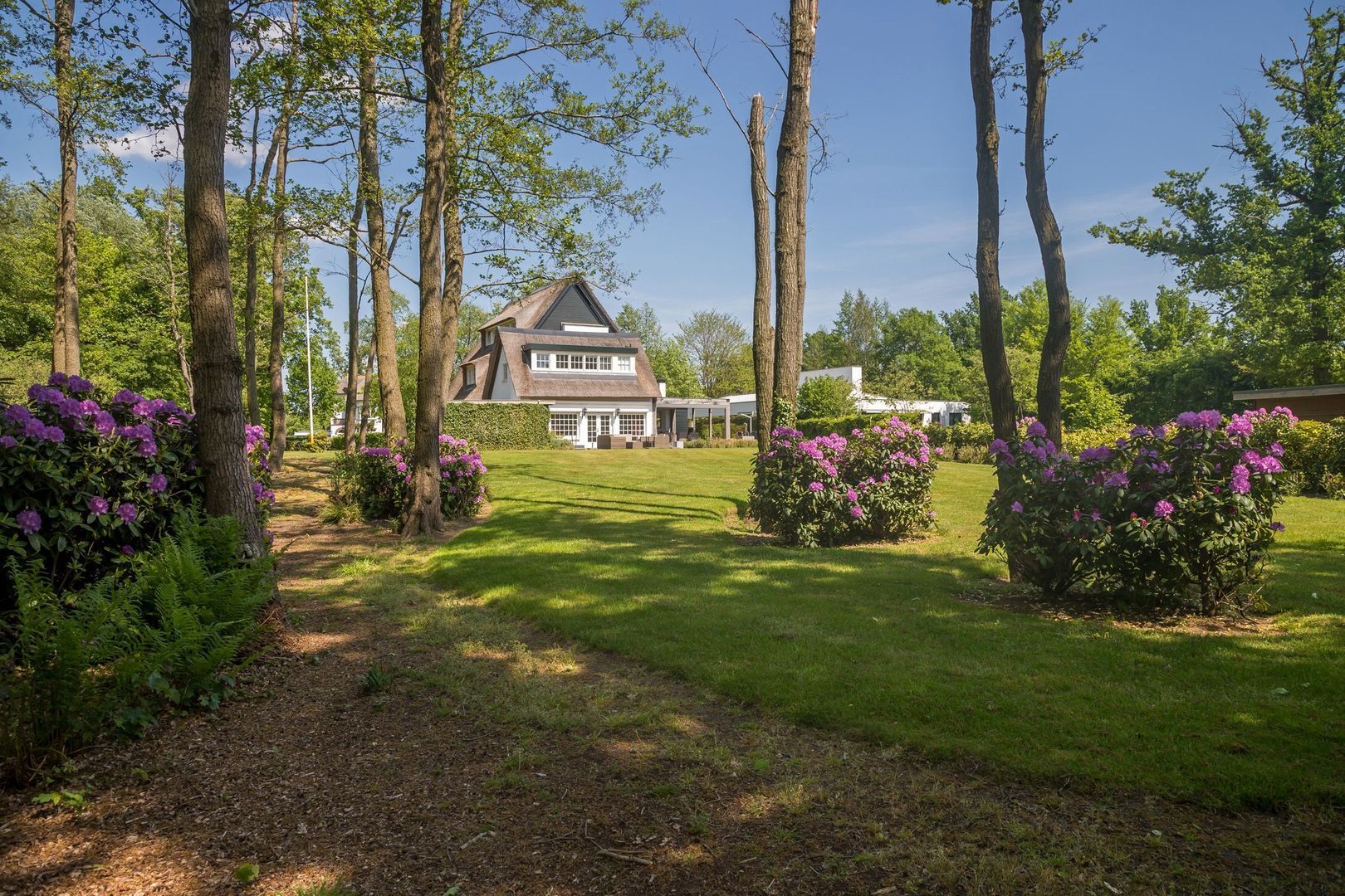 Gemullehoekenweg 54, Oisterwijk foto-2