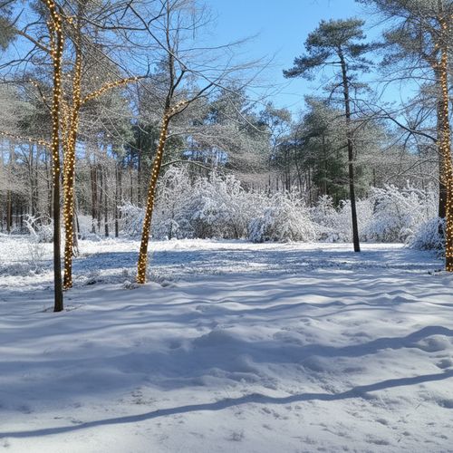 Hondsbergselaan 0 ong, Oisterwijk foto-1