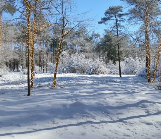 Hondsbergselaan 0 ong, Oisterwijk