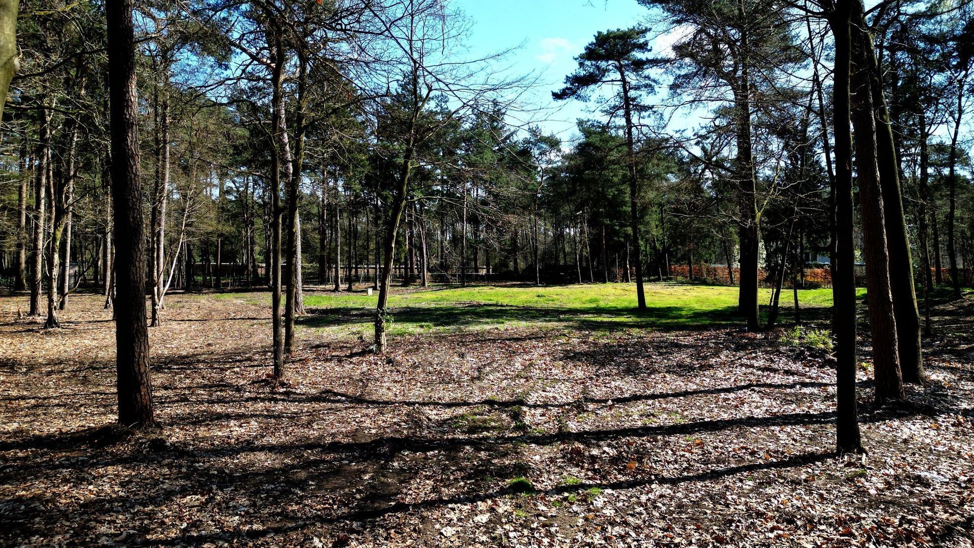 Hondsbergselaan 0 ong, Oisterwijk foto-0