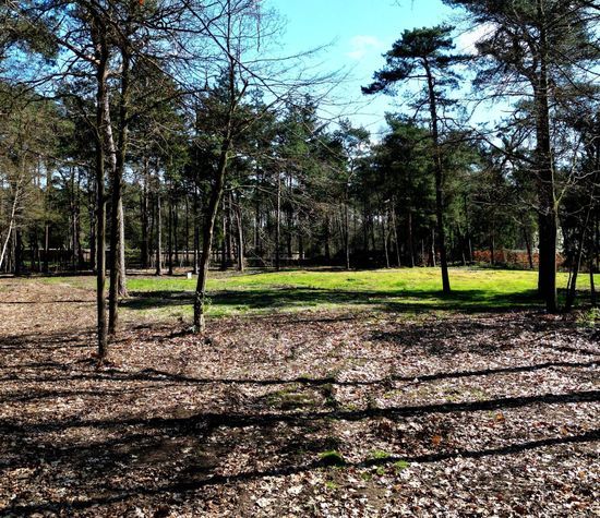 Hondsbergselaan 0 ong, Oisterwijk