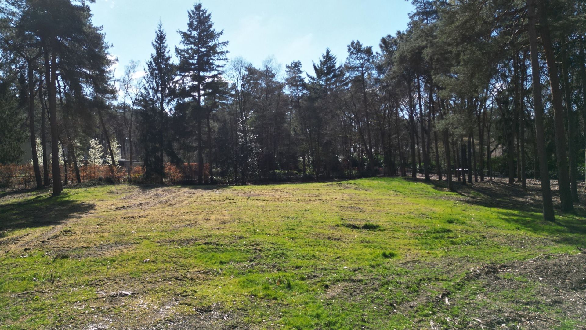 Hondsbergselaan 0 ong, Oisterwijk foto-2