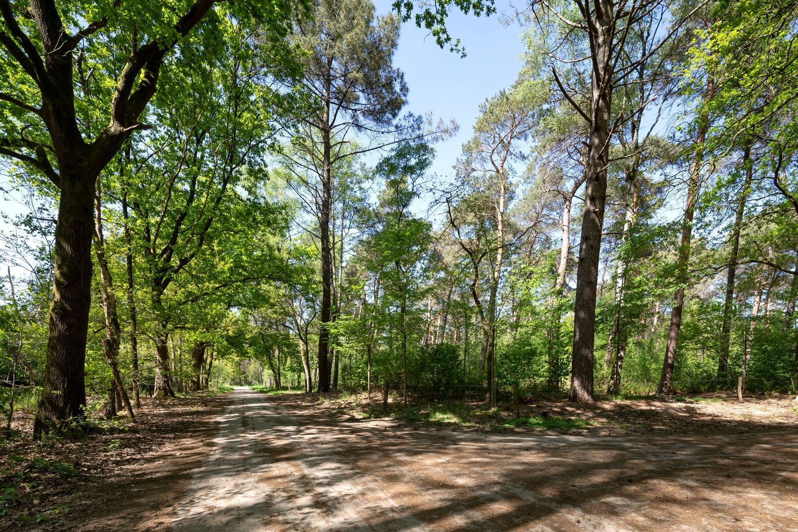 Kromvensedijk 4, Oost West en Middelbeers foto-32