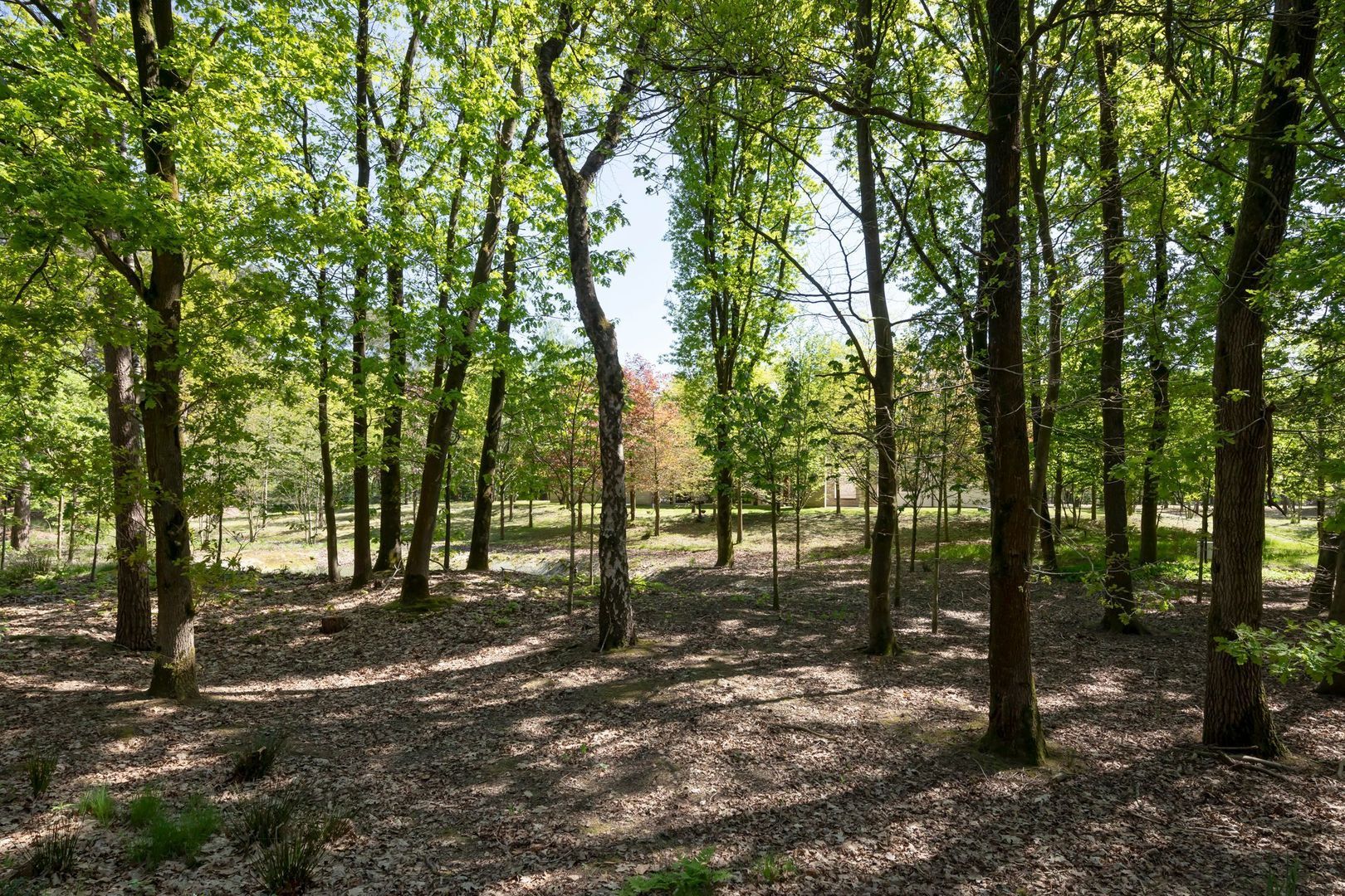 Kromvensedijk 4, Oost West en Middelbeers foto-30