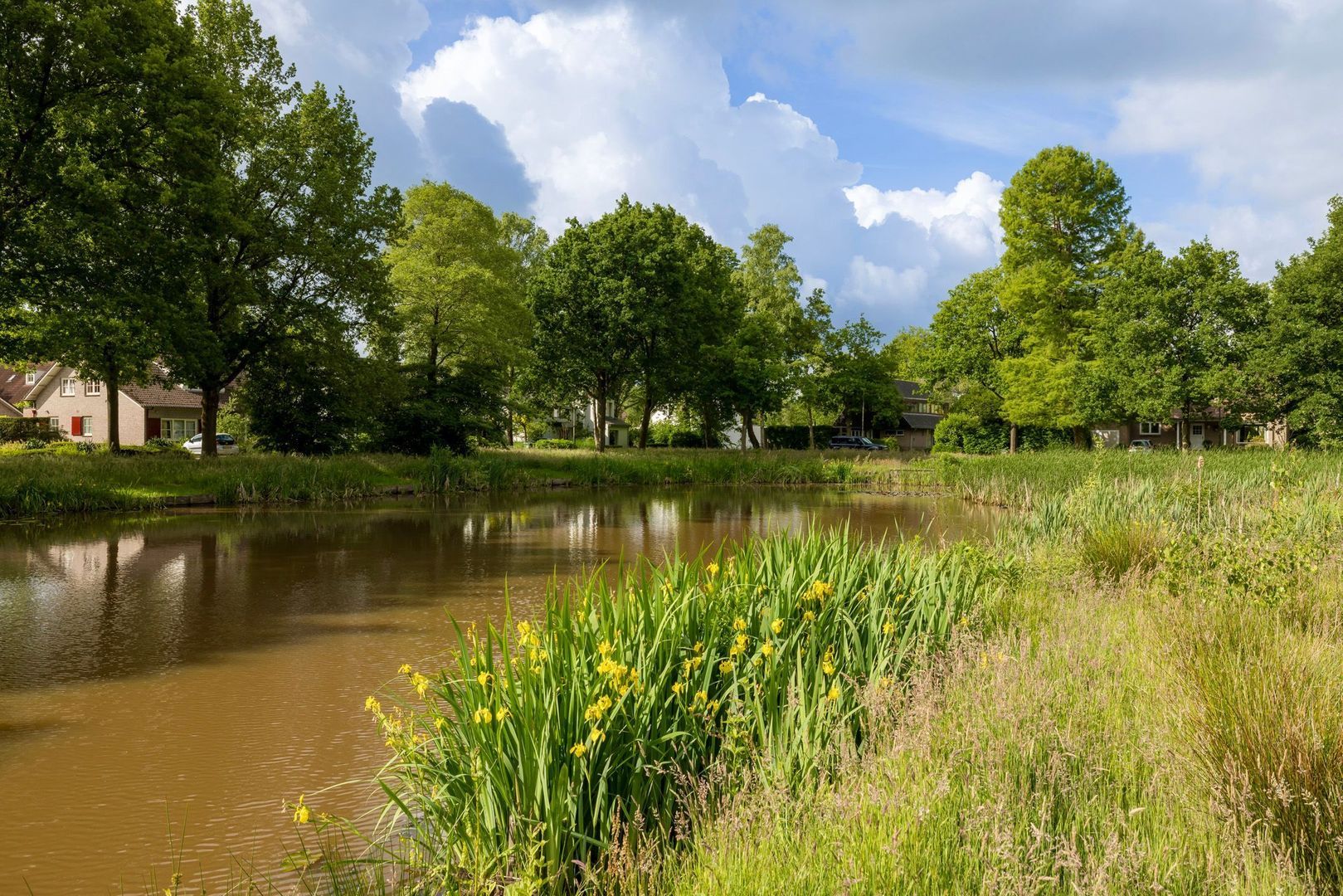 Eikenven 15, Oisterwijk foto-13