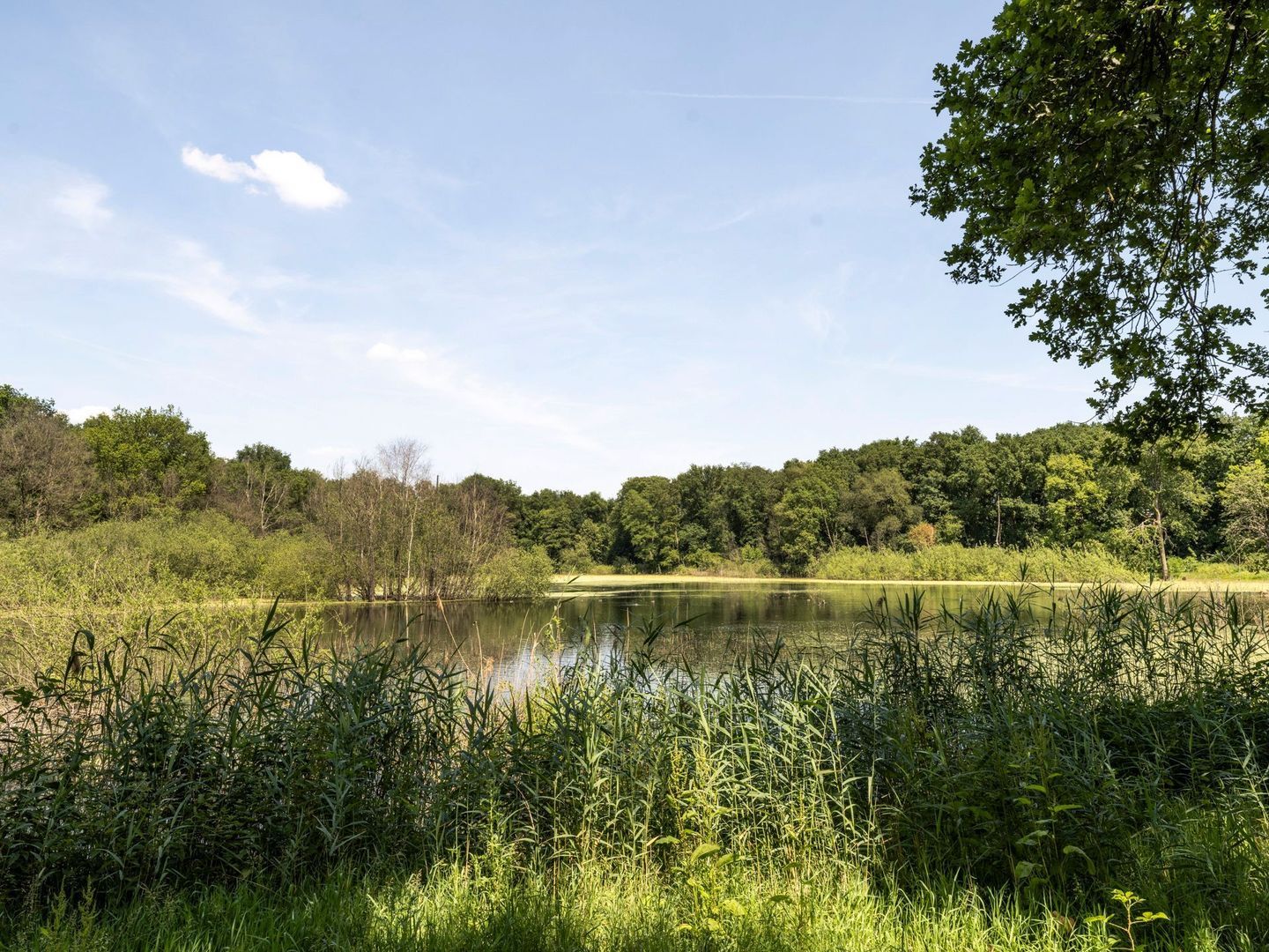 Merendreef 6, Valkenswaard foto-13