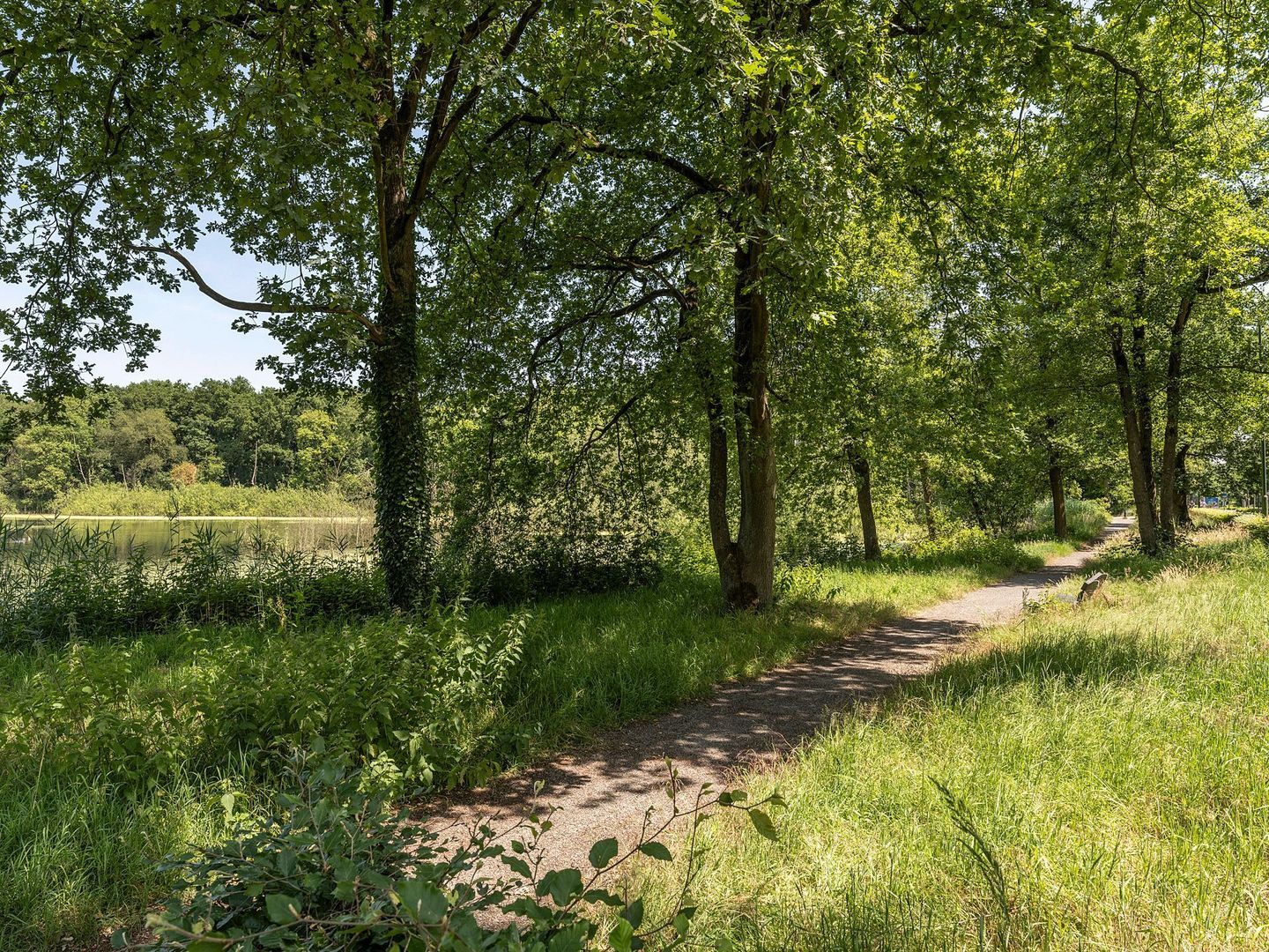 Merendreef 6, Valkenswaard foto-14