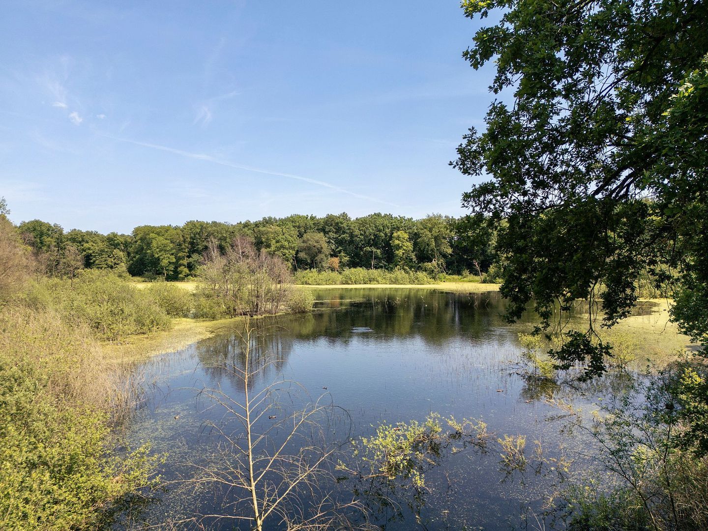 Merendreef 6, Valkenswaard foto-12