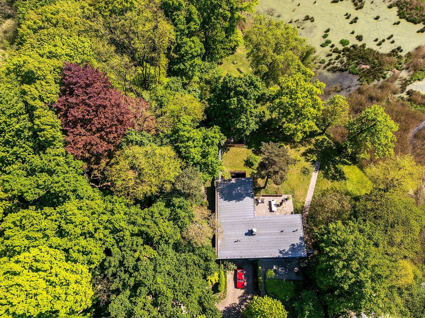 Zegenwerp 10, Sint-Michielsgestel foto-3