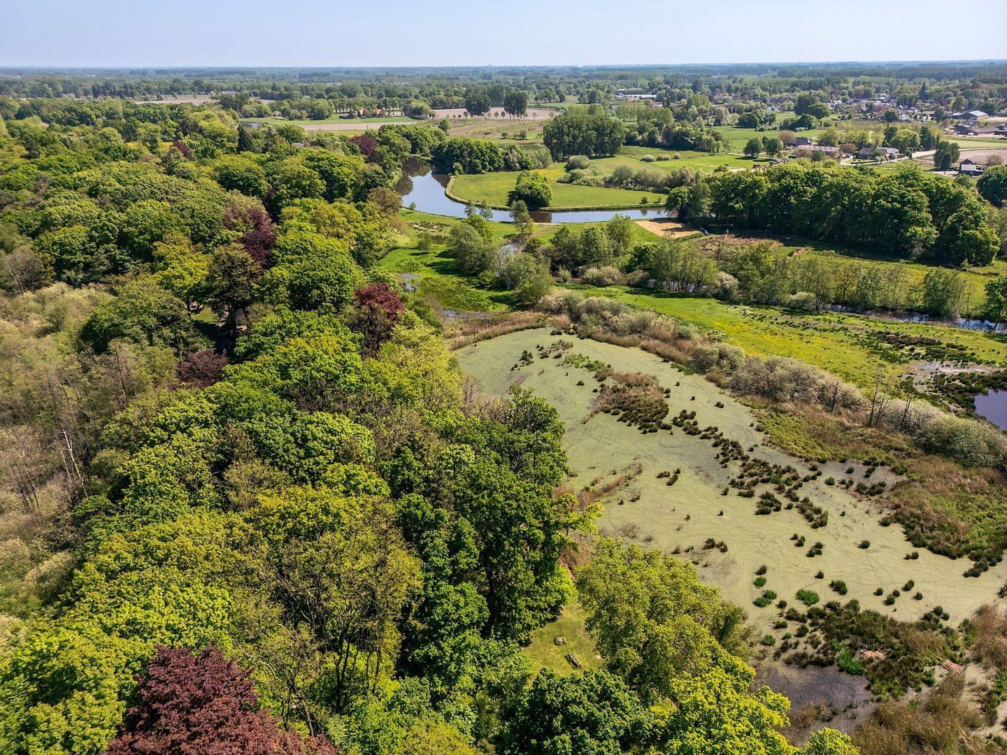 Zegenwerp 10, Sint-Michielsgestel foto-4