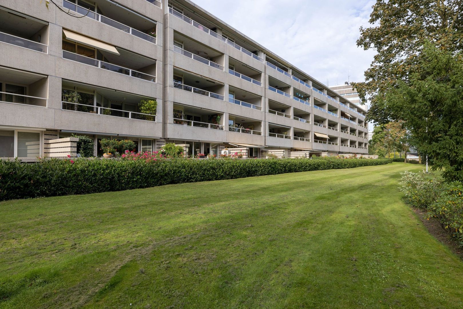 Groot Paradijs 97, Eindhoven foto-51