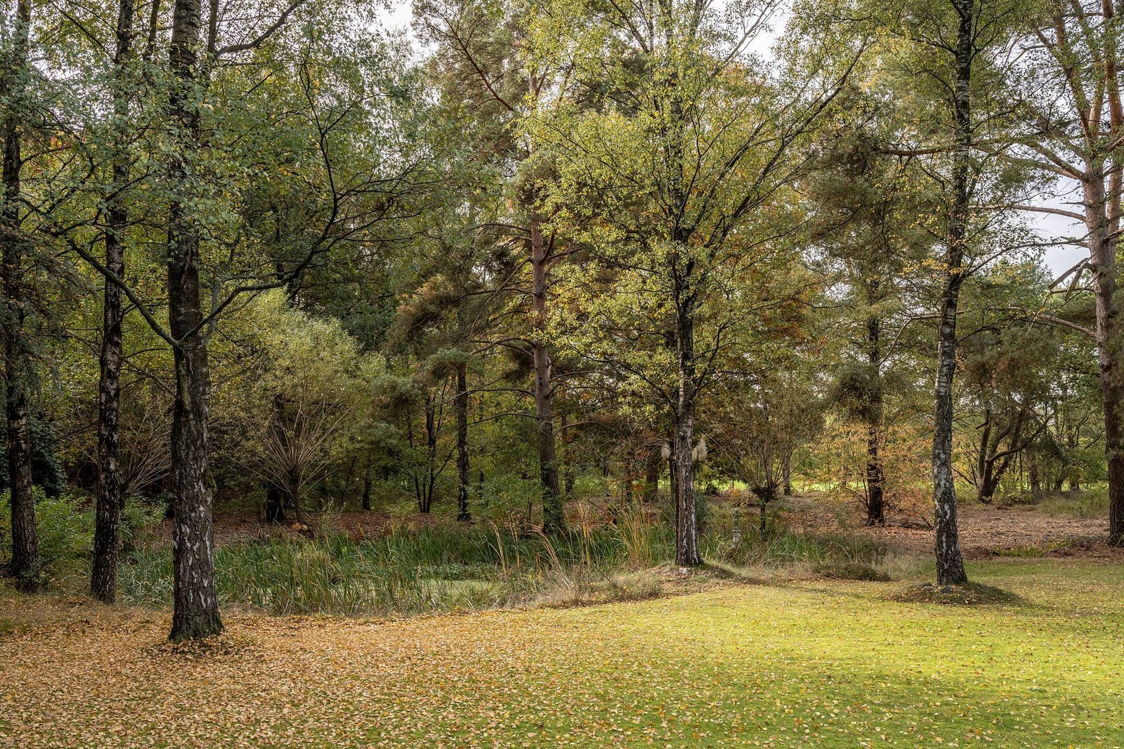 Rederijklaan 44, Mierlo foto-32