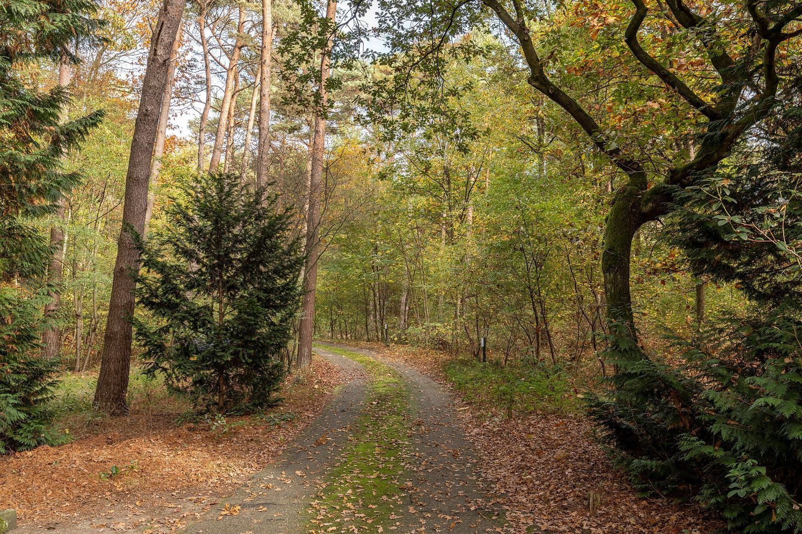 Rederijklaan 44, Mierlo foto-31