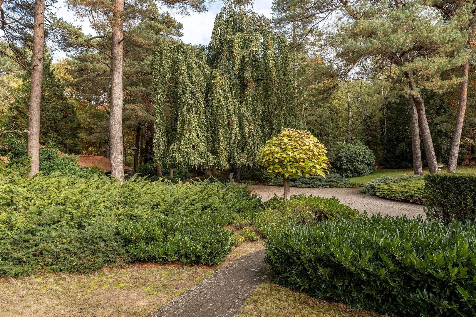 Rederijklaan 44, Mierlo foto-30