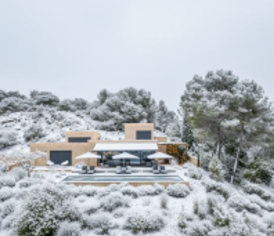 Lavandin, Saint-Romain-En-Viennois