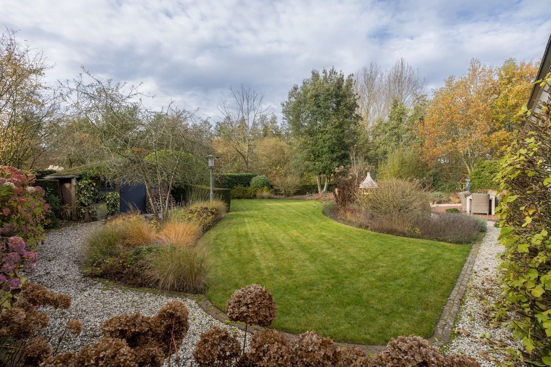 Bloedkoraal 5, Eindhoven foto-3