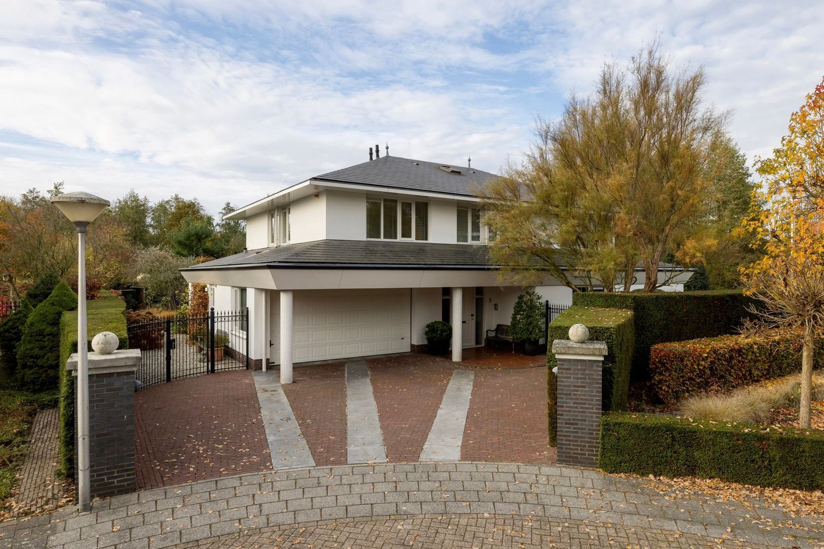 Bloedkoraal 5, Eindhoven foto-1