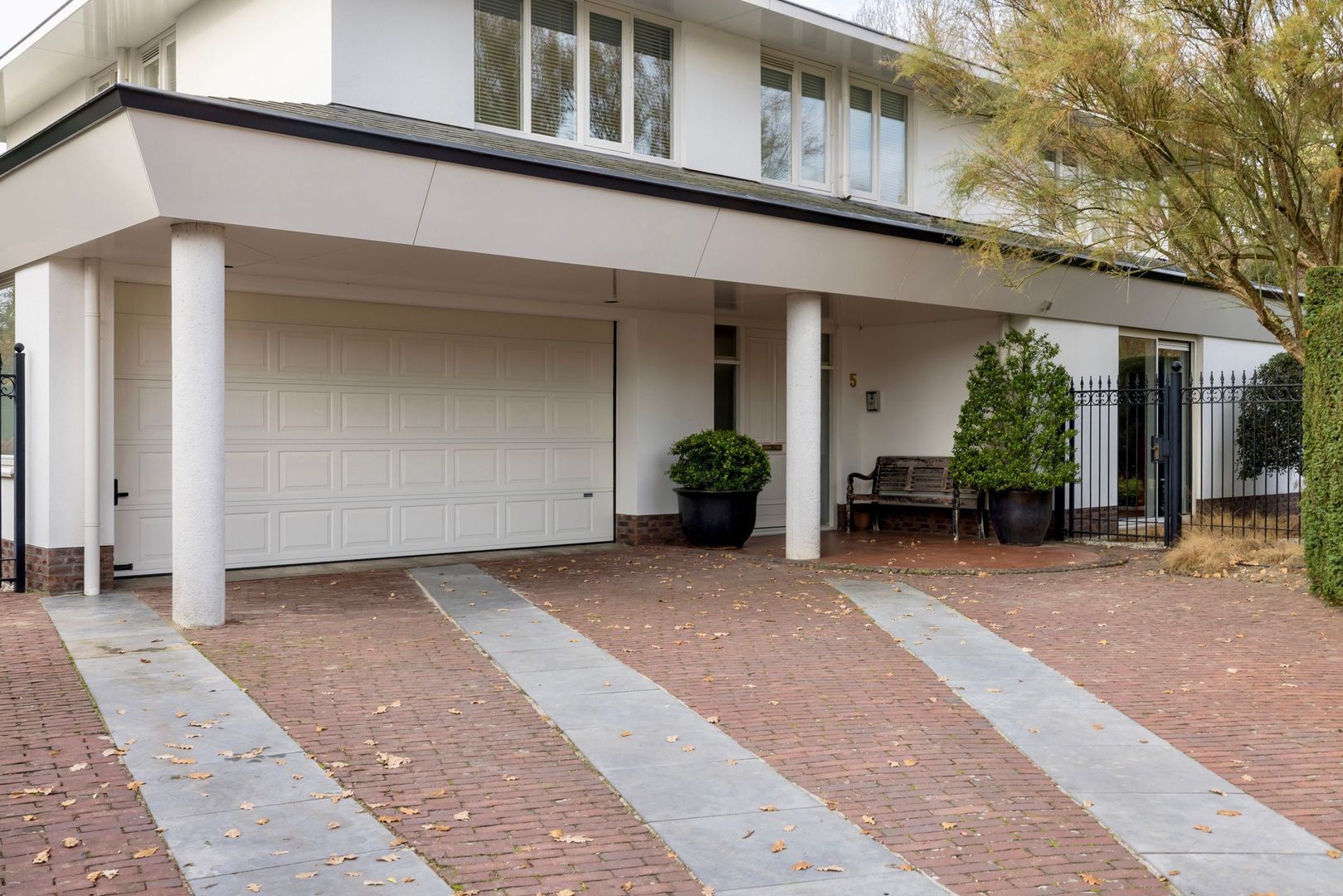 Bloedkoraal 5, Eindhoven foto-5