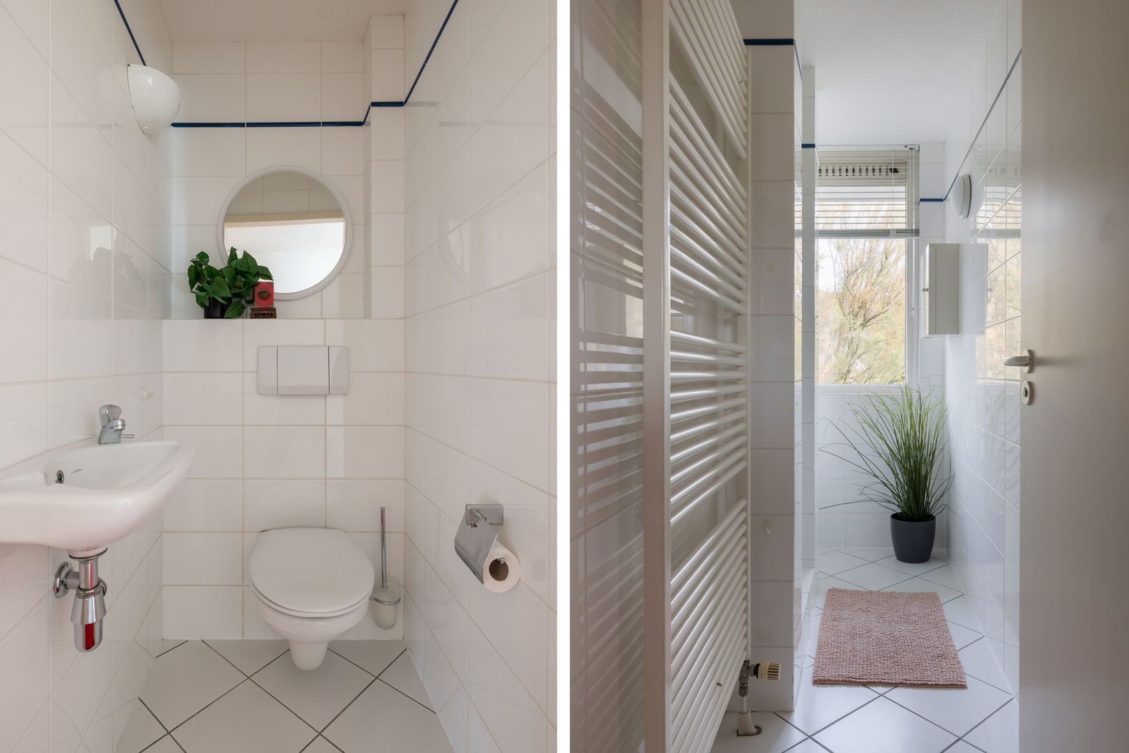 Bloedkoraal 5, Eindhoven foto-27