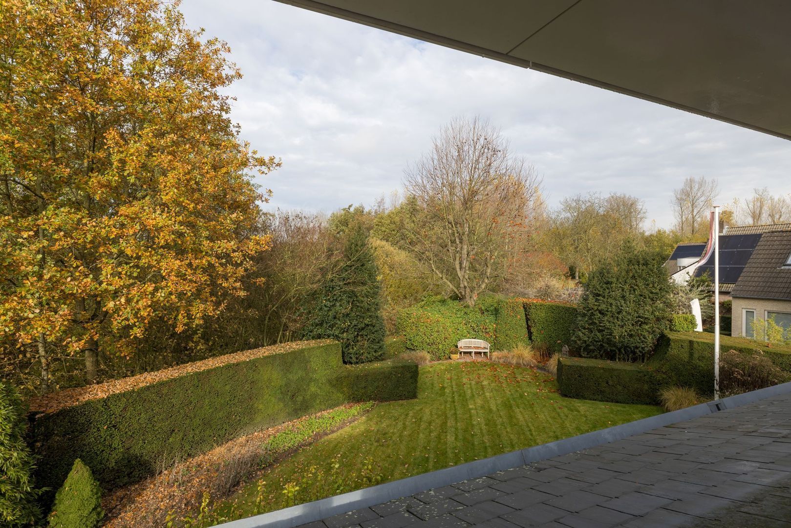 Bloedkoraal 5, Eindhoven foto-21