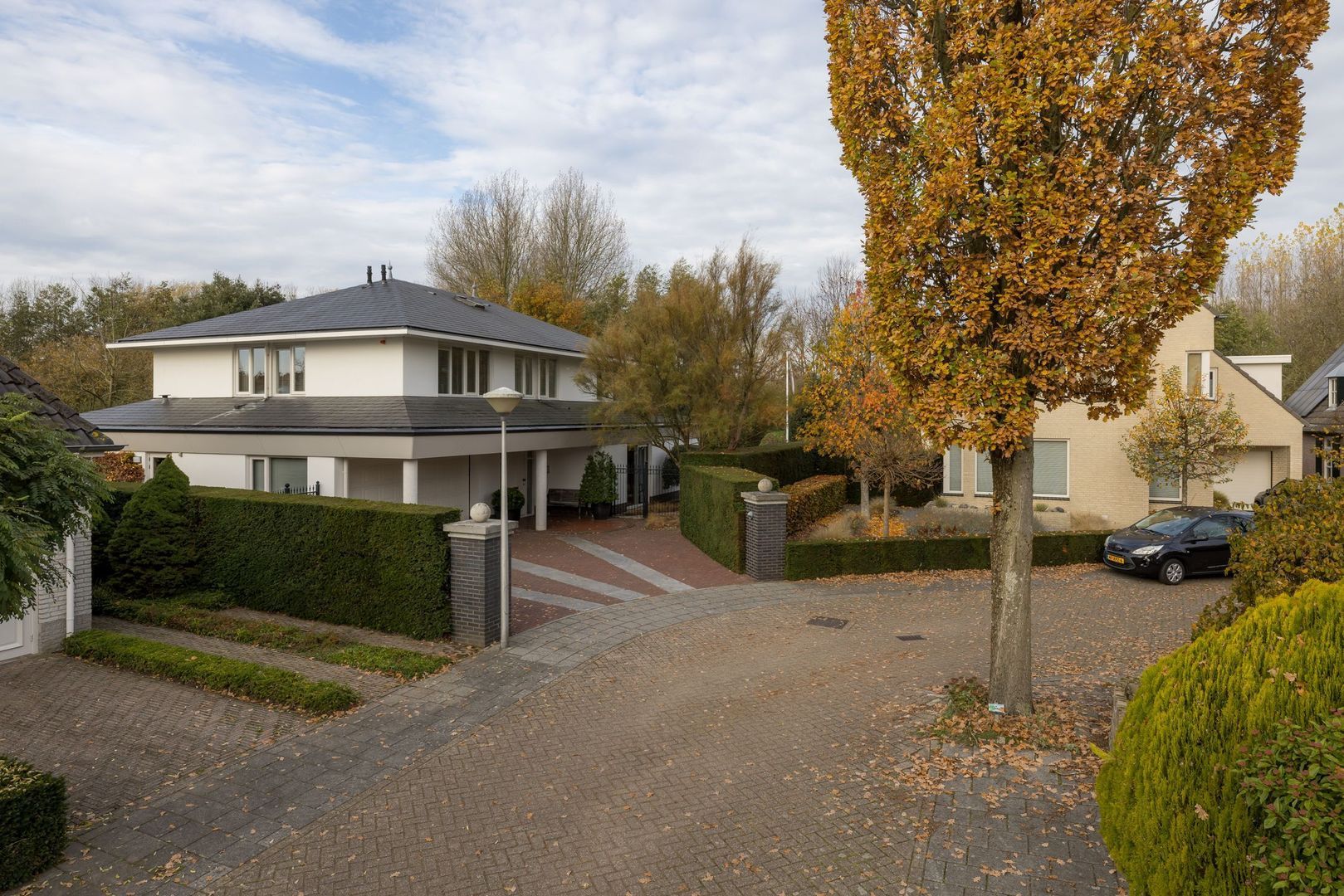 Bloedkoraal 5, Eindhoven foto-34