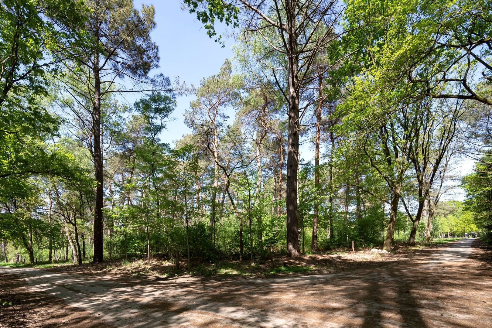 Kromvensedijk 4, Oost West en Middelbeers foto-38