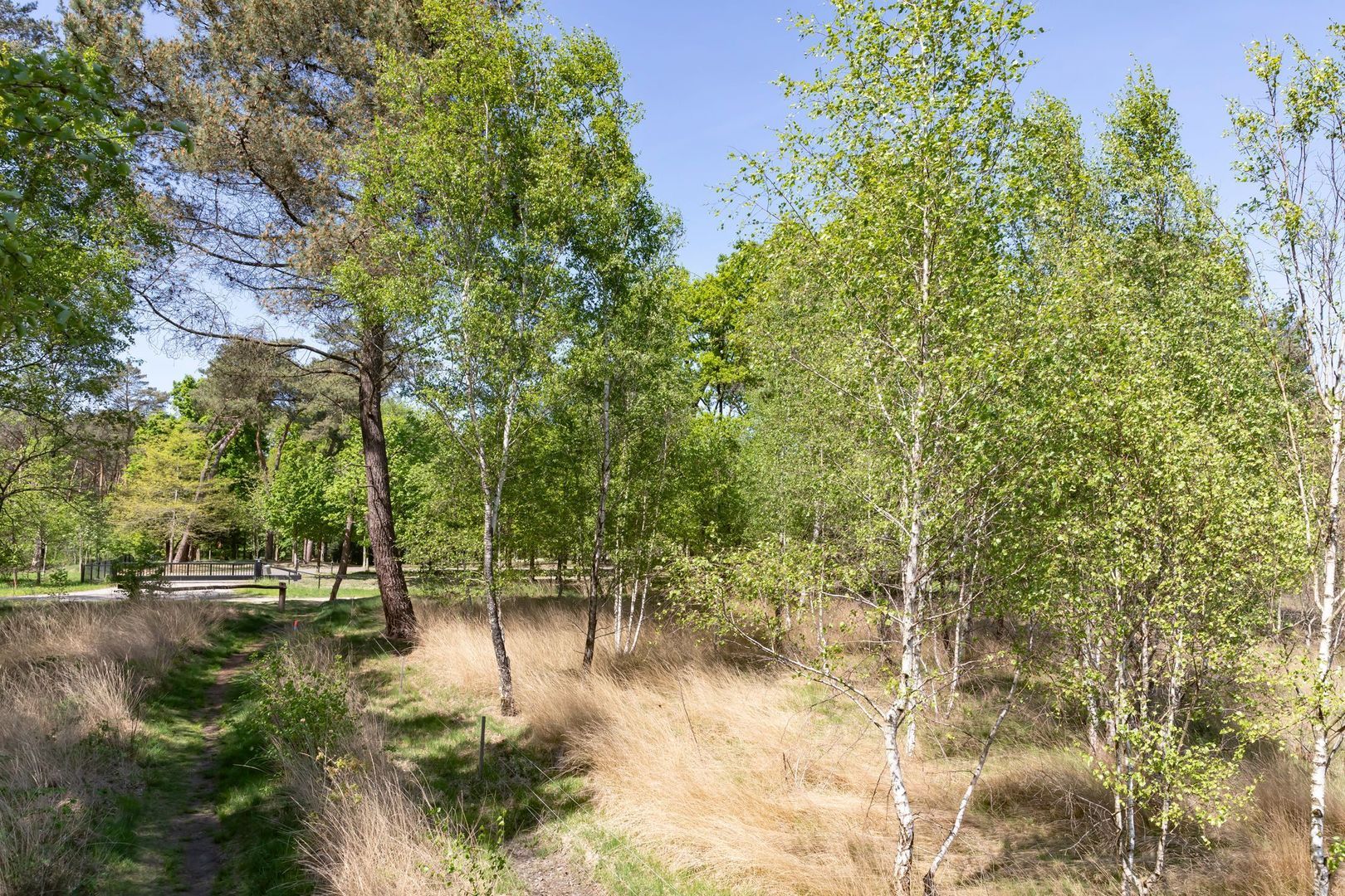 Kromvensedijk 4, Oost West en Middelbeers foto-37