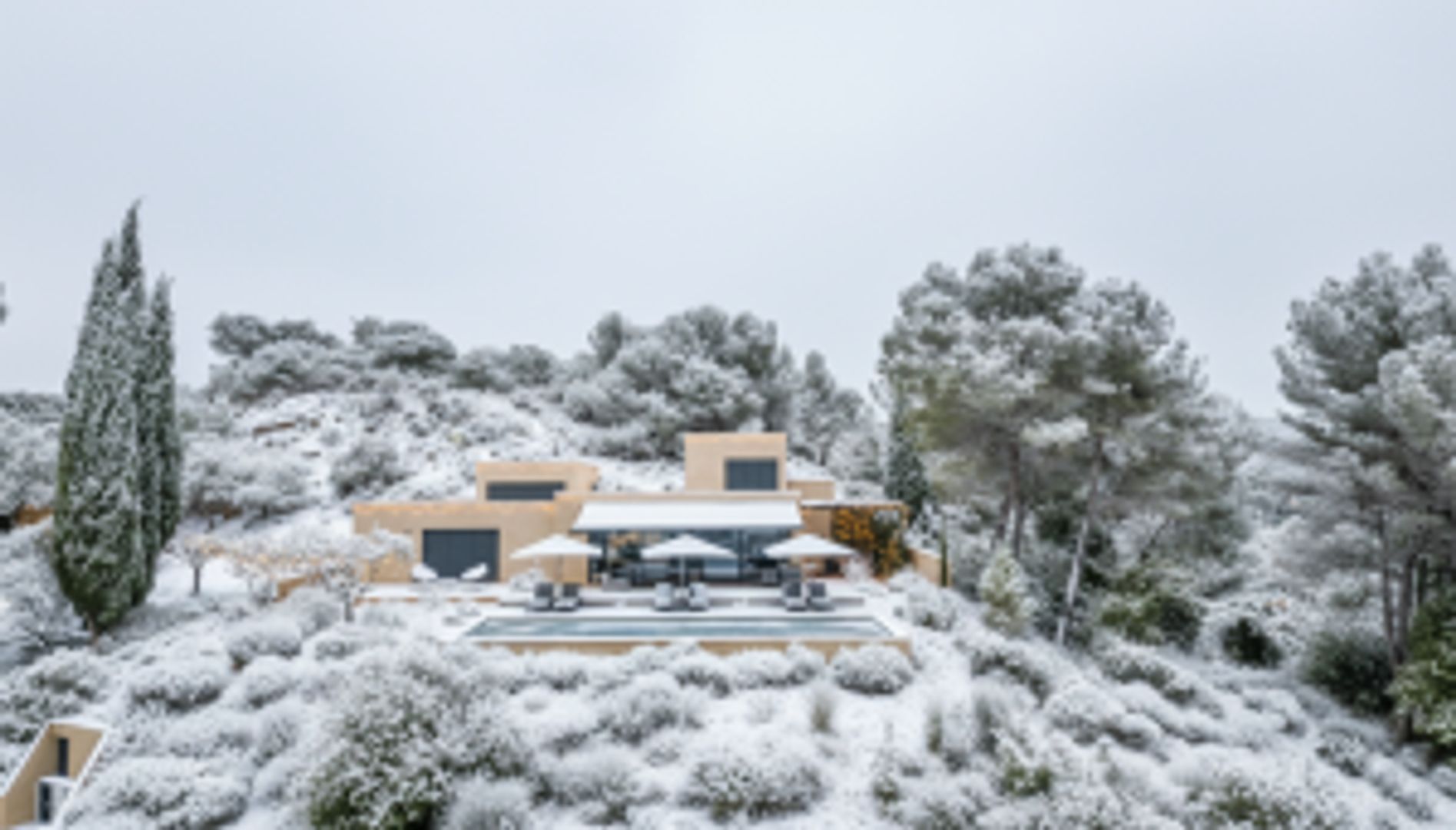 Lavandin, Saint-Romain-En-Viennois foto-1