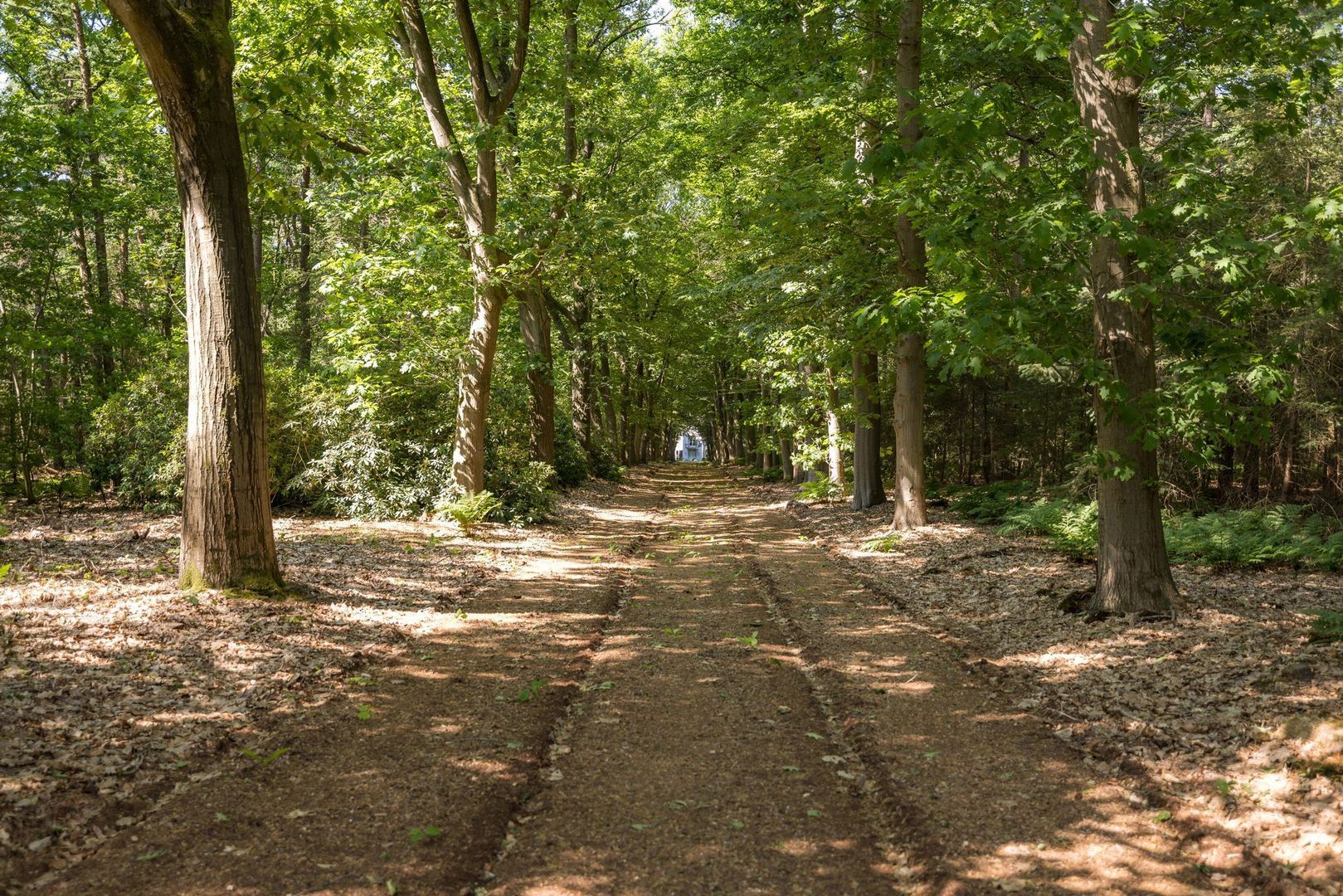 Altenaweg 2, Gilze foto-28