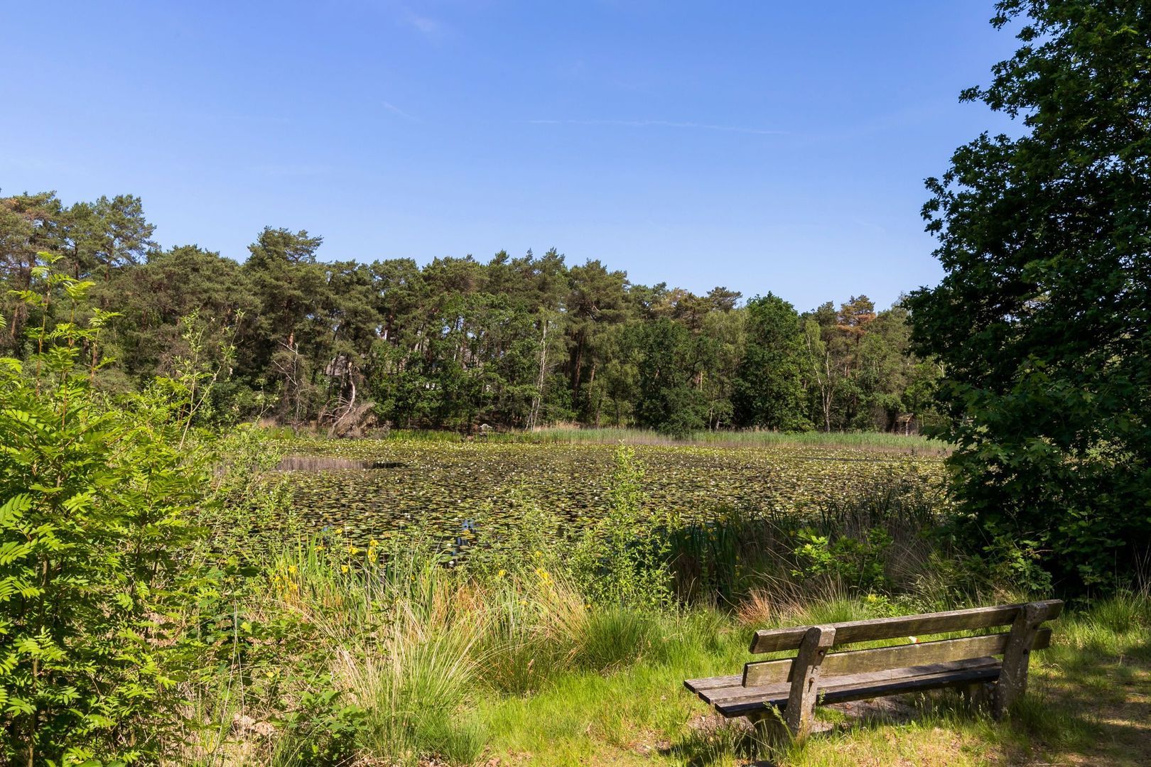 Hoge Duinlaan 32, Waalre foto-33