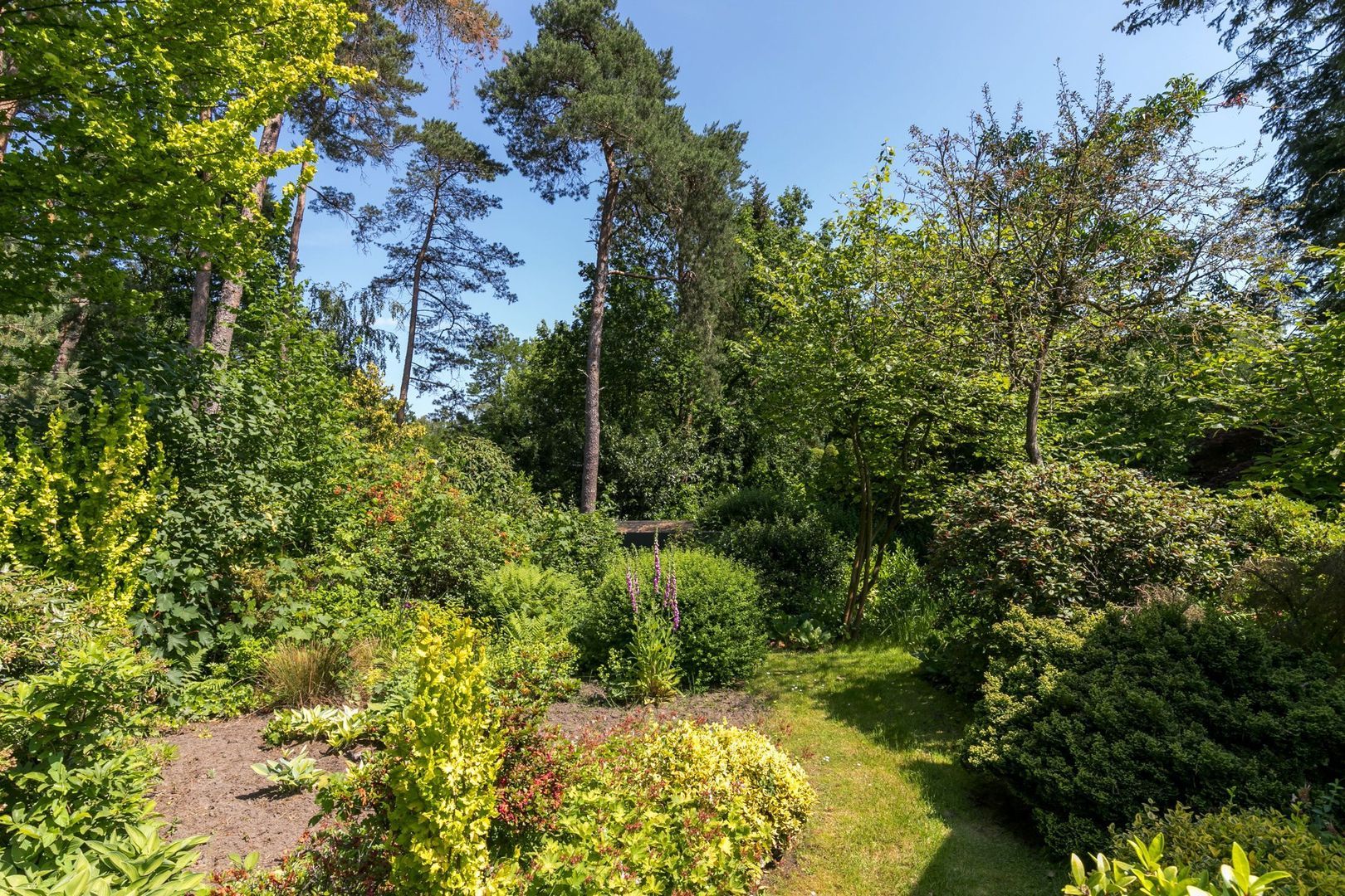 Hoge Duinlaan 32, Waalre foto-26