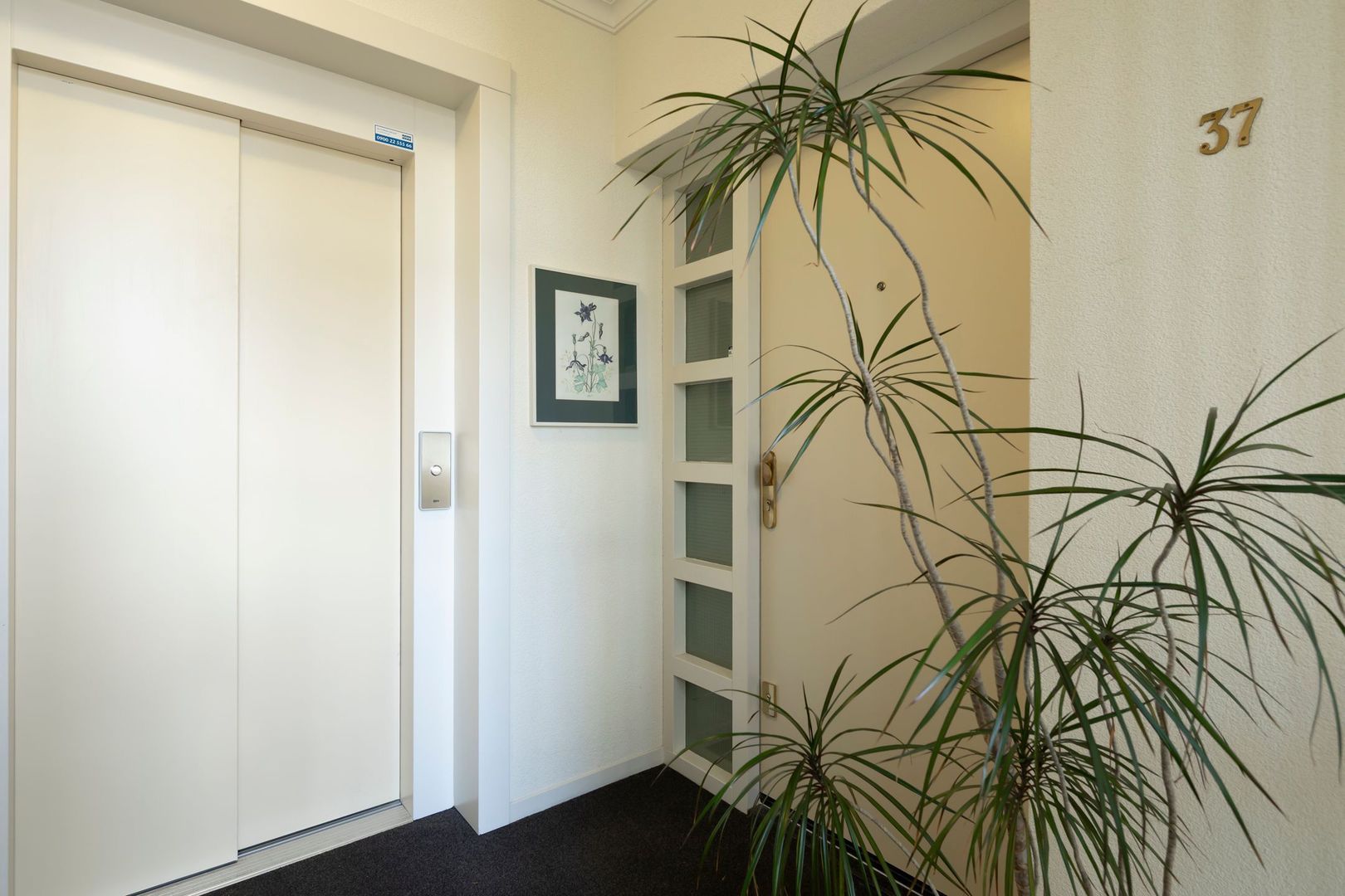 Groenenborgh 37, Oisterwijk foto-5