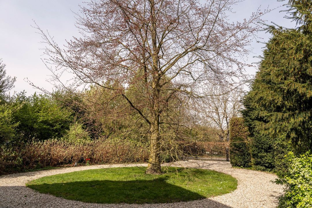 Uiterdijk 4, Zoelen foto-3