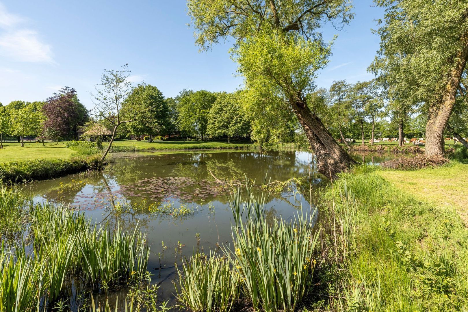 Haarensebaan 5, Udenhout foto-2