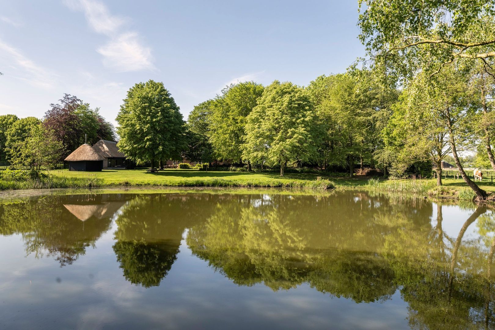 Haarensebaan 5, Udenhout foto-22