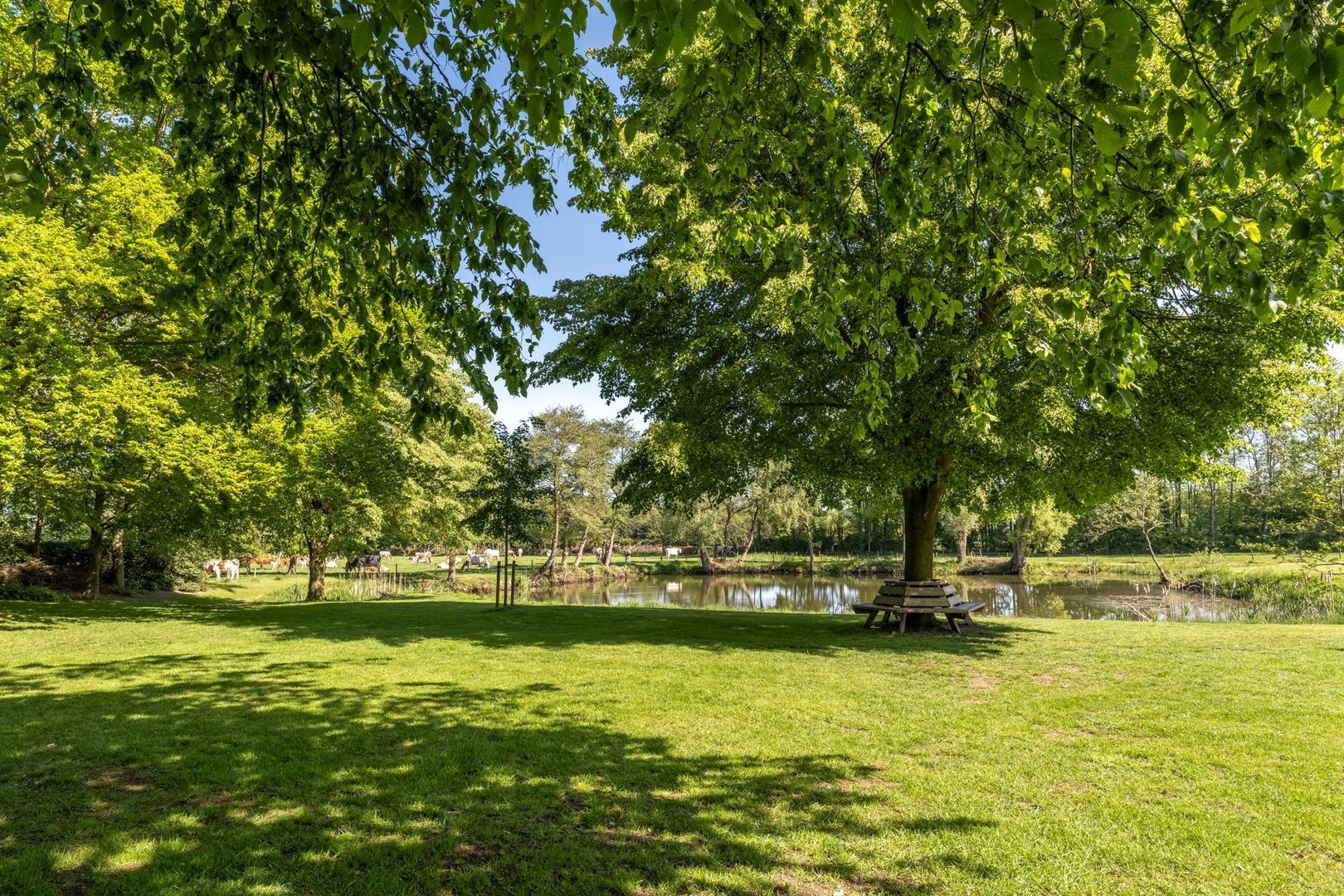 Haarensebaan 5, Udenhout foto-28