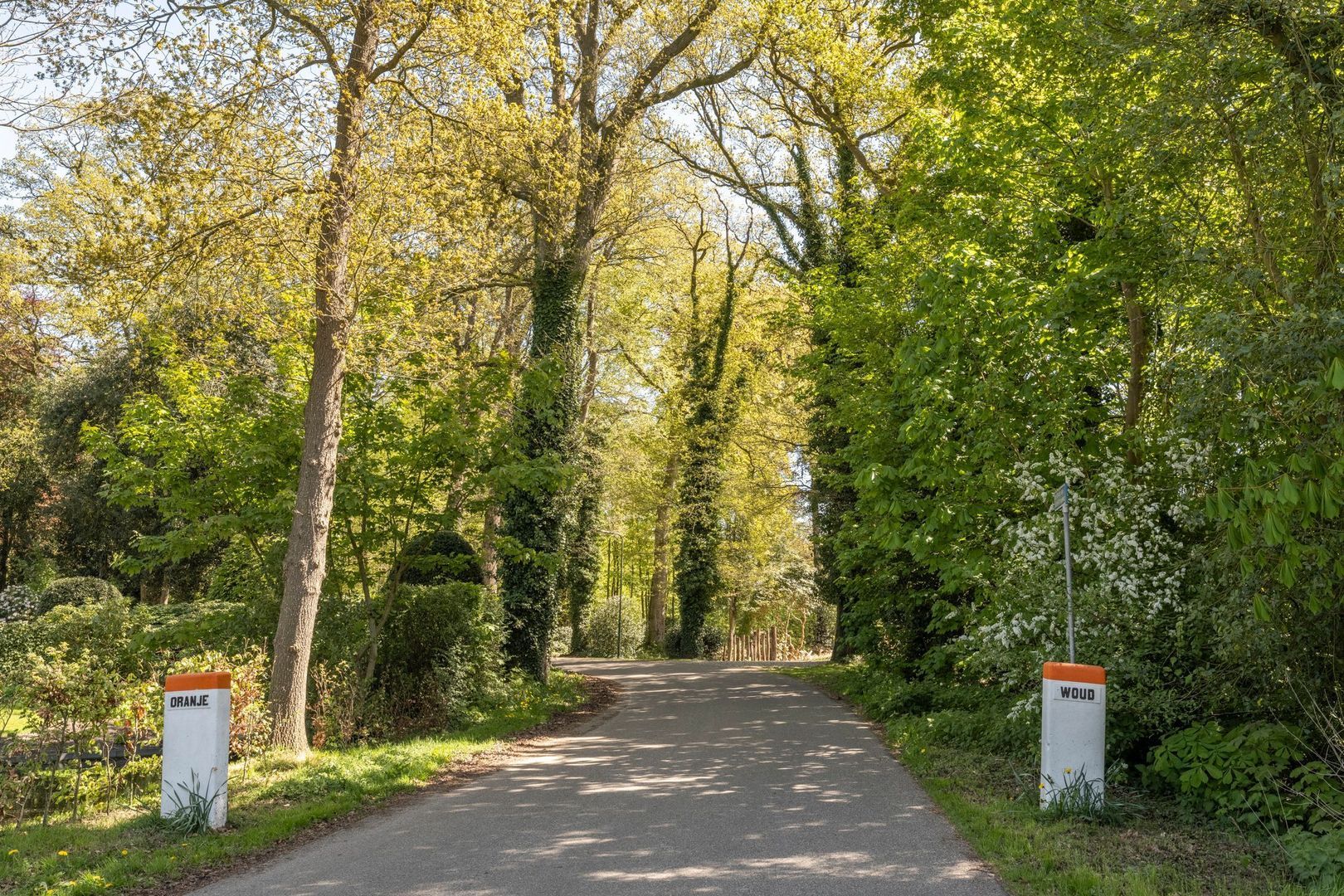 Prins Bernhardweg 73, Oranjewoud foto-39
