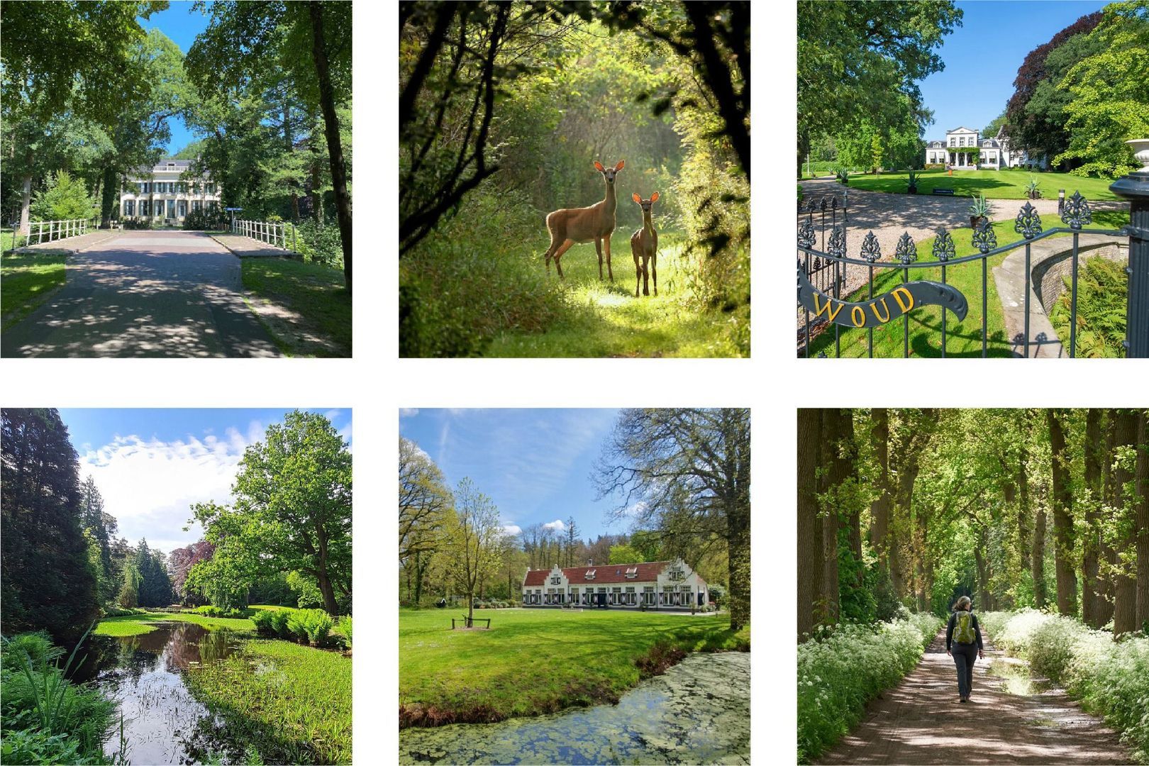 Prins Bernhardweg 73, Oranjewoud foto-40