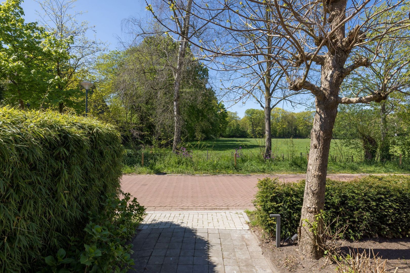 Wildpad 13, Vught foto-49