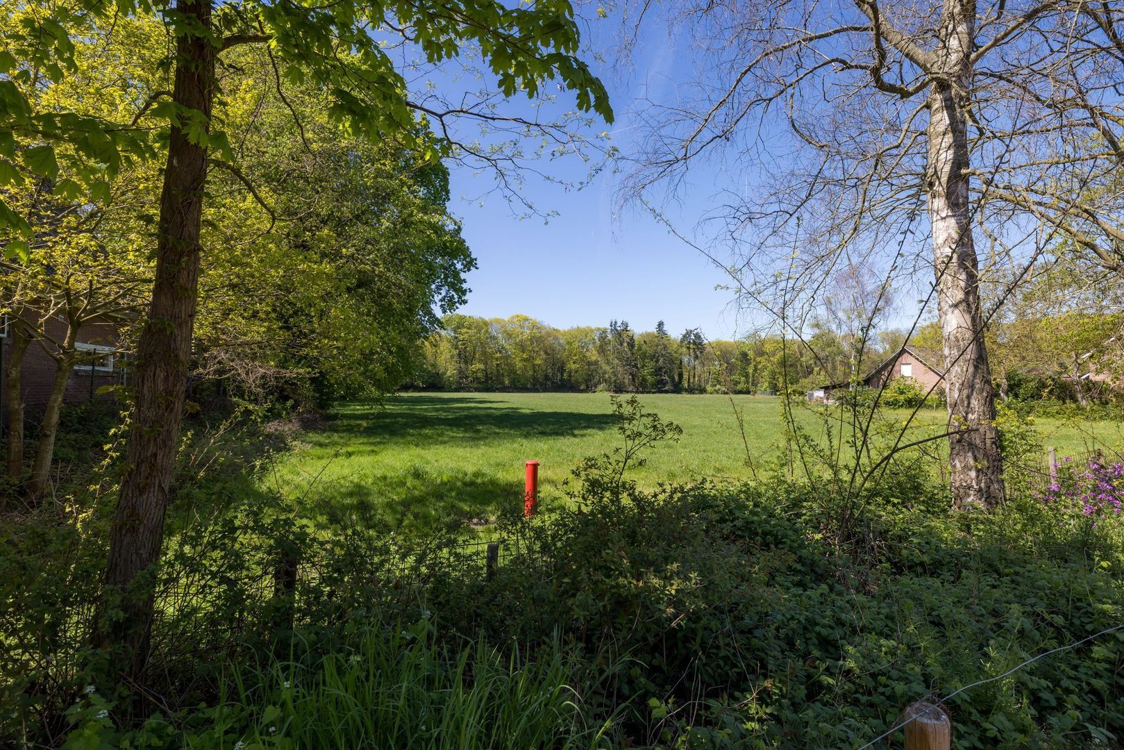 Wildpad 13, Vught foto-50