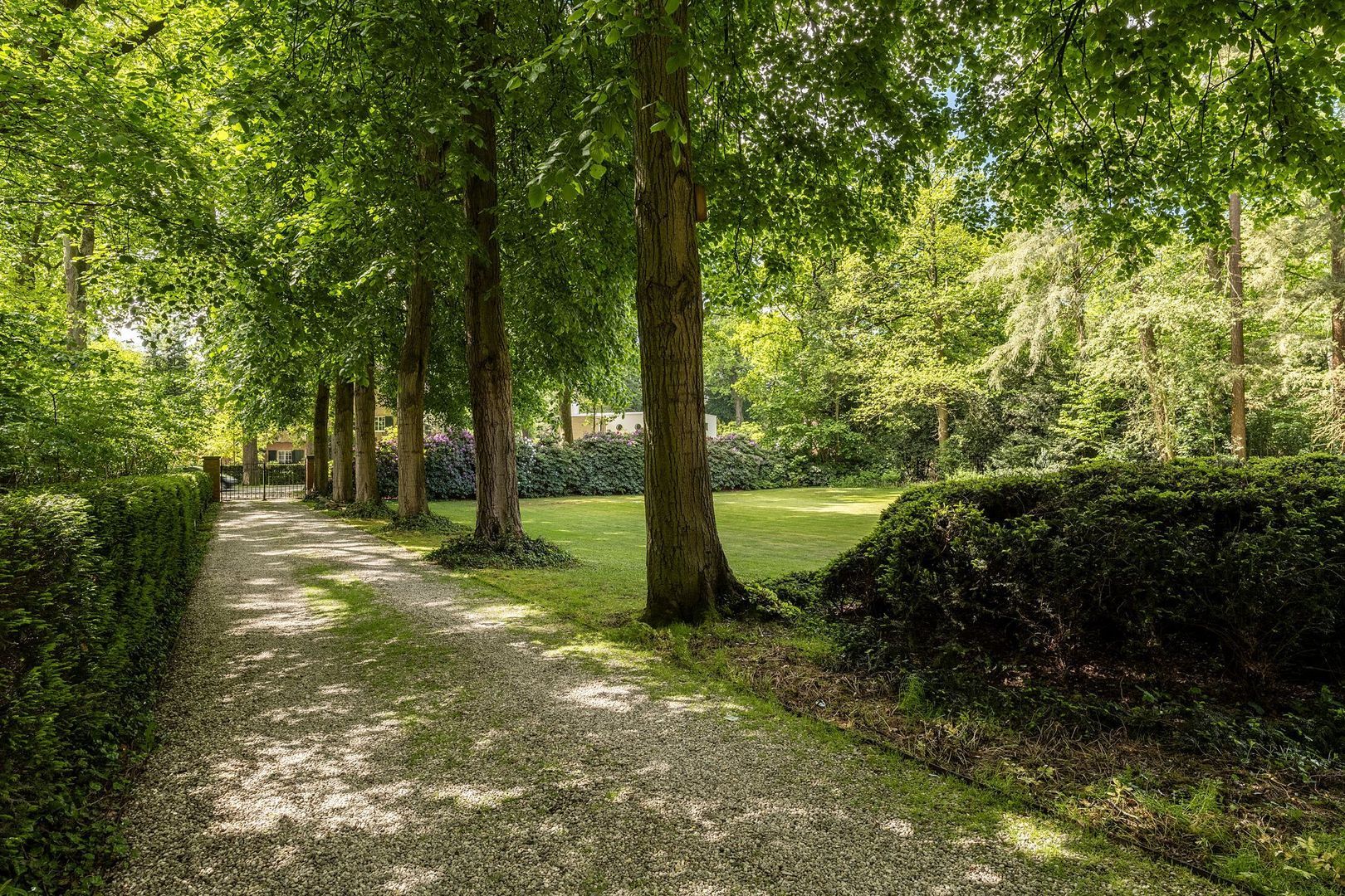 Bredaseweg 389, Tilburg foto-31